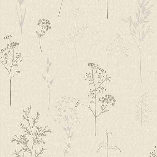 wall