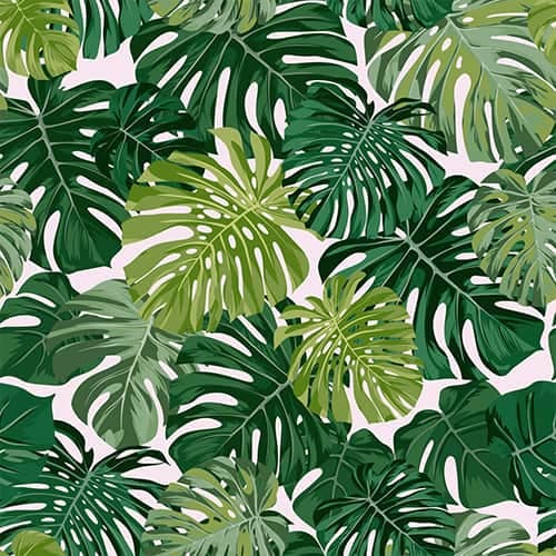 wall