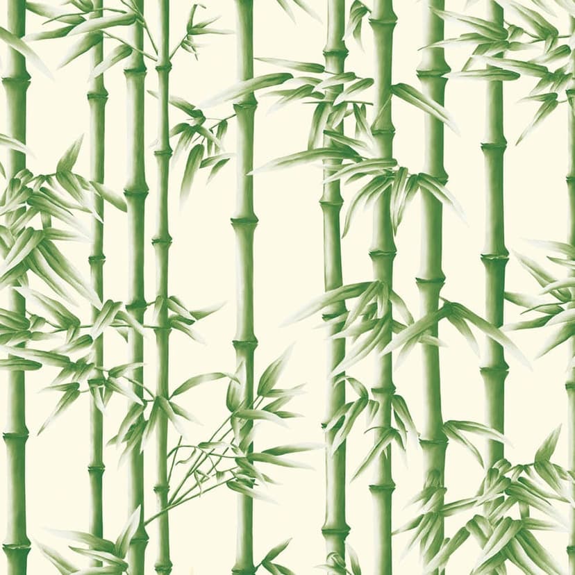 wall