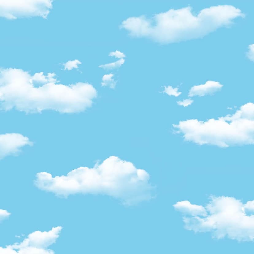 wall