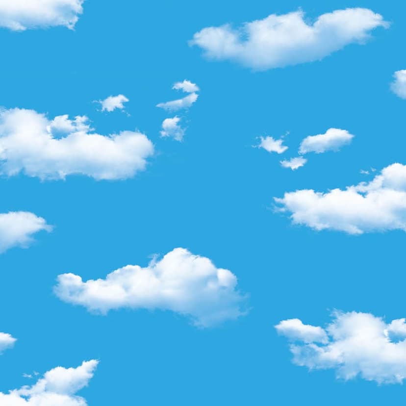 wall