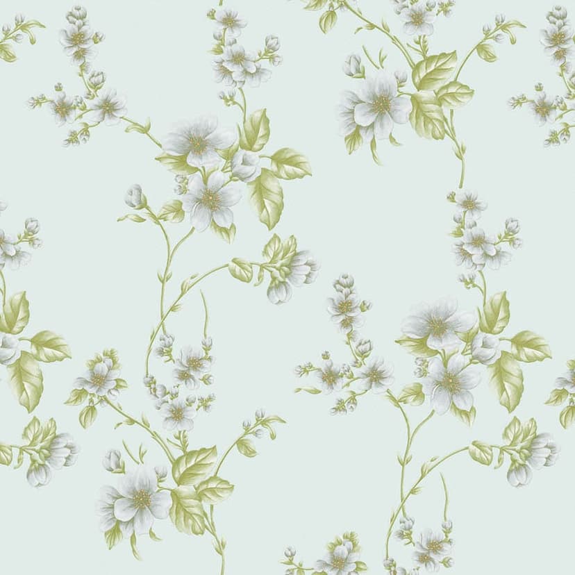 wall