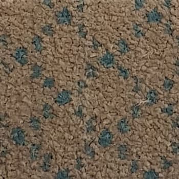 wall