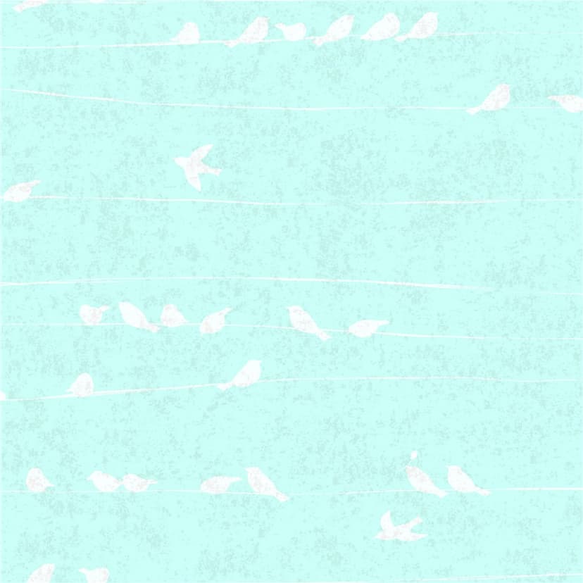 wall