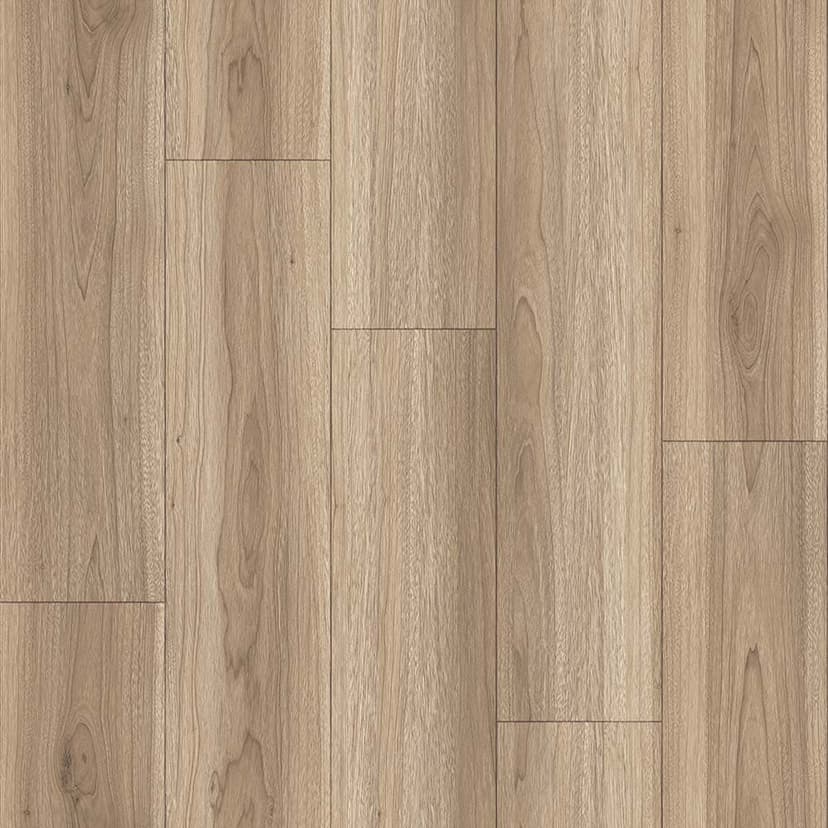 wall